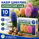 Набір цибулин Ароматний Сад (гіацинти mix 5 сортів) (10 цибулин) 19186 фото 1